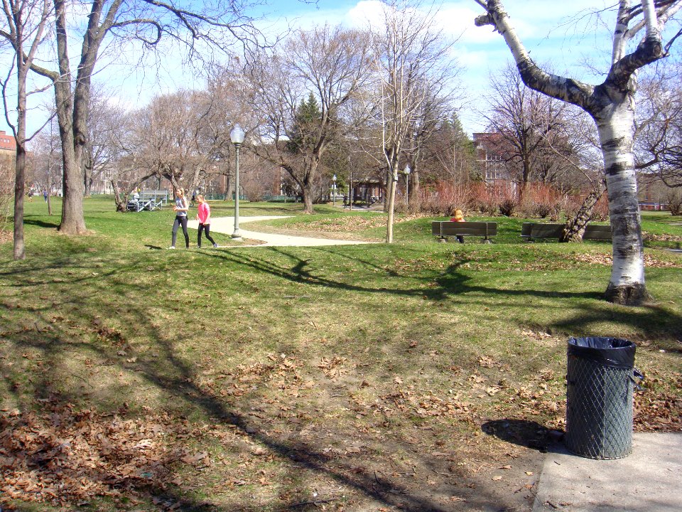 Westmount Park 06