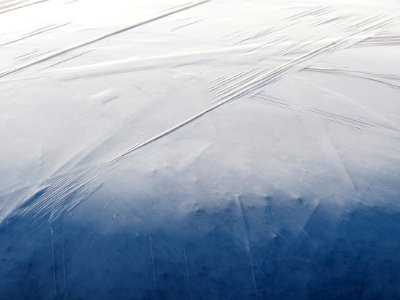 White silage bales in Brastad 8