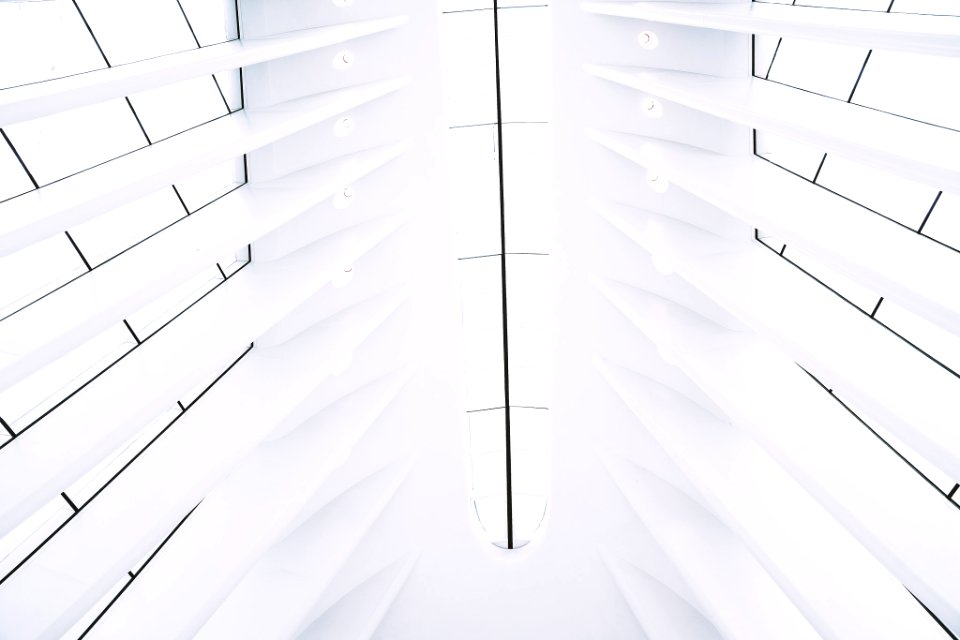 White Star (222104397)