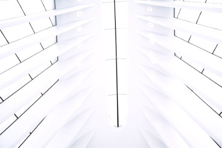 White Star (222104397)