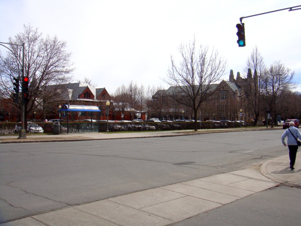 Westmount Public Library and Victoria Hall in May 2015