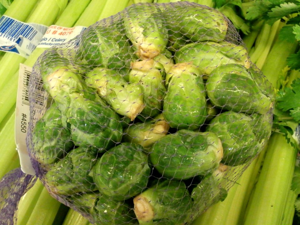 Wet Brussels sprouts in a net
