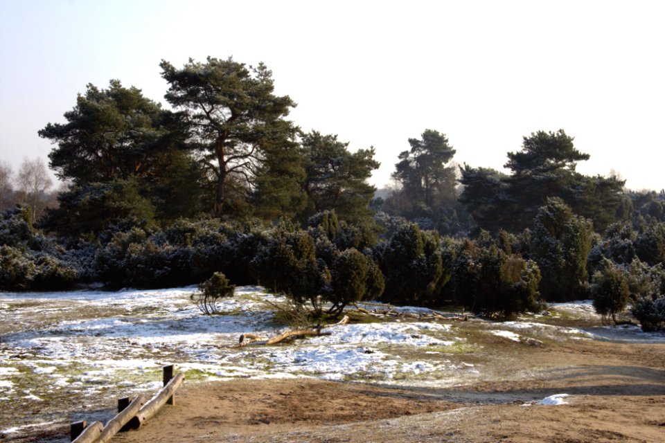 Westruper Heide winter scenery