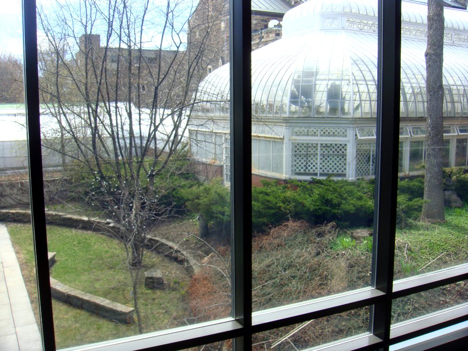Westmount Public Library in May 2015 - 08