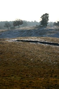 Westruper Heide winter scenery (05)