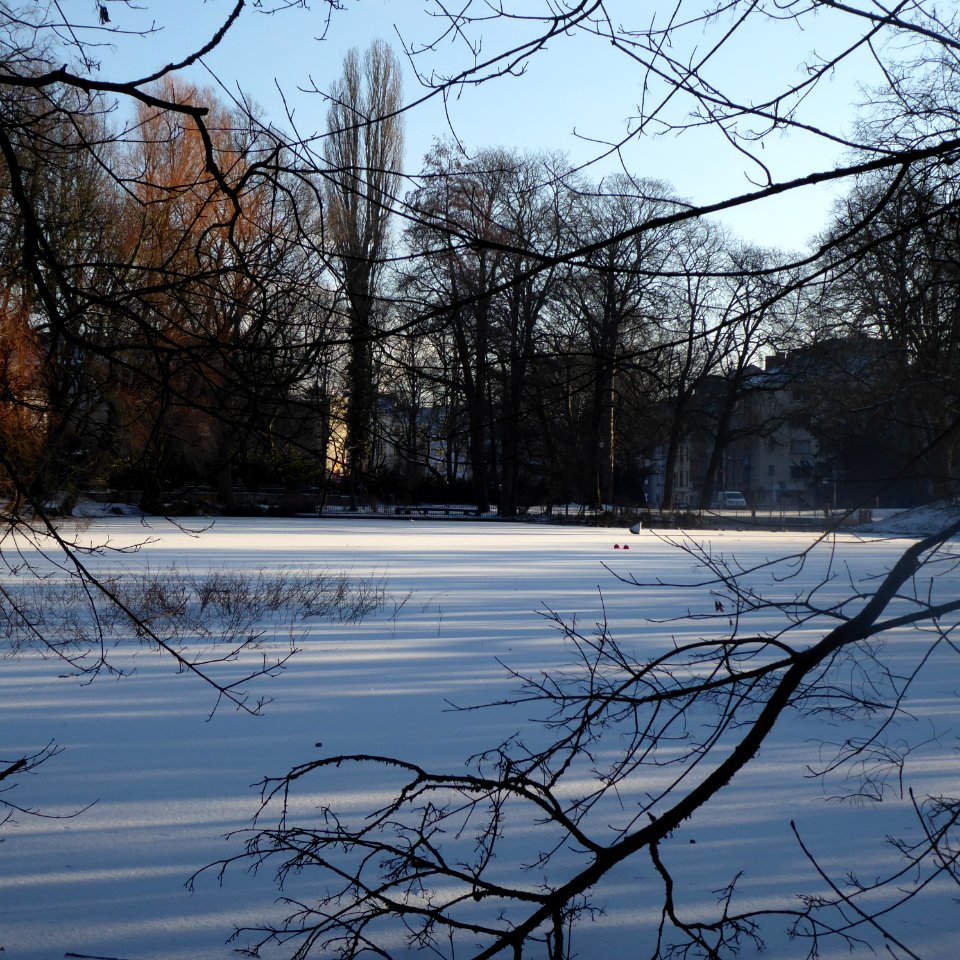 Westpark (Aachen) Eisweiher