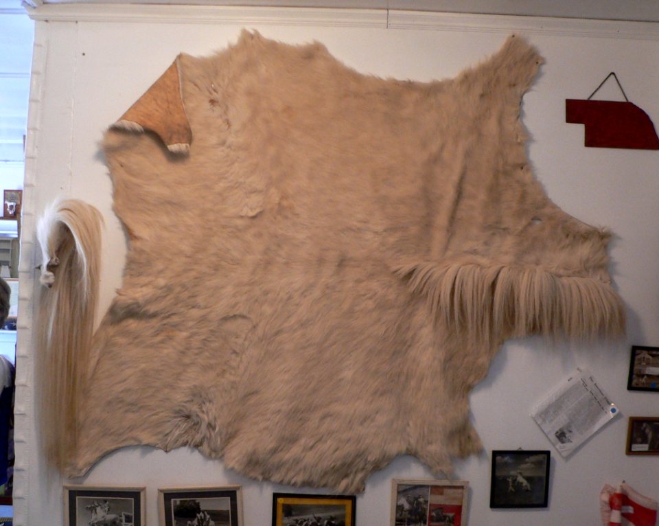 White Horse Ranch Museum hide