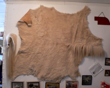 White Horse Ranch Museum hide