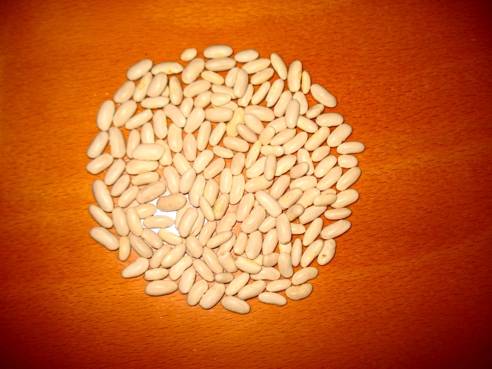 White Beans