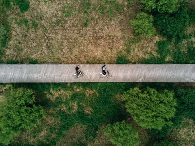 Nature field bridge