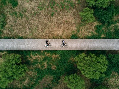 Nature field bridge photo