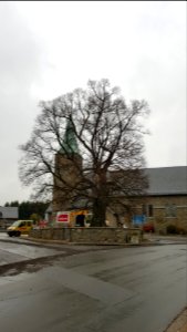 Weywertz-Linde (2)