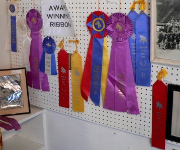 White Horse Ranch Museum ribbons 1