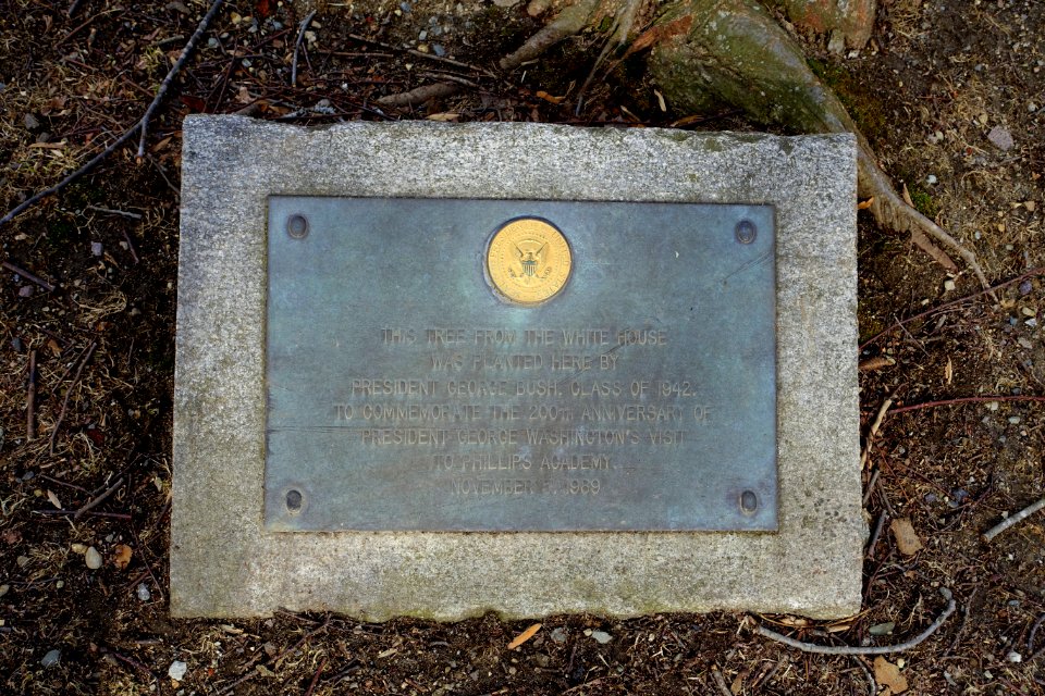 White House Tree marker - Phillips Academy Andover - Andover, Massachusetts - DSC05328