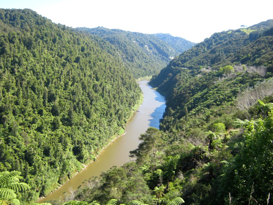 Whanganui-River-01
