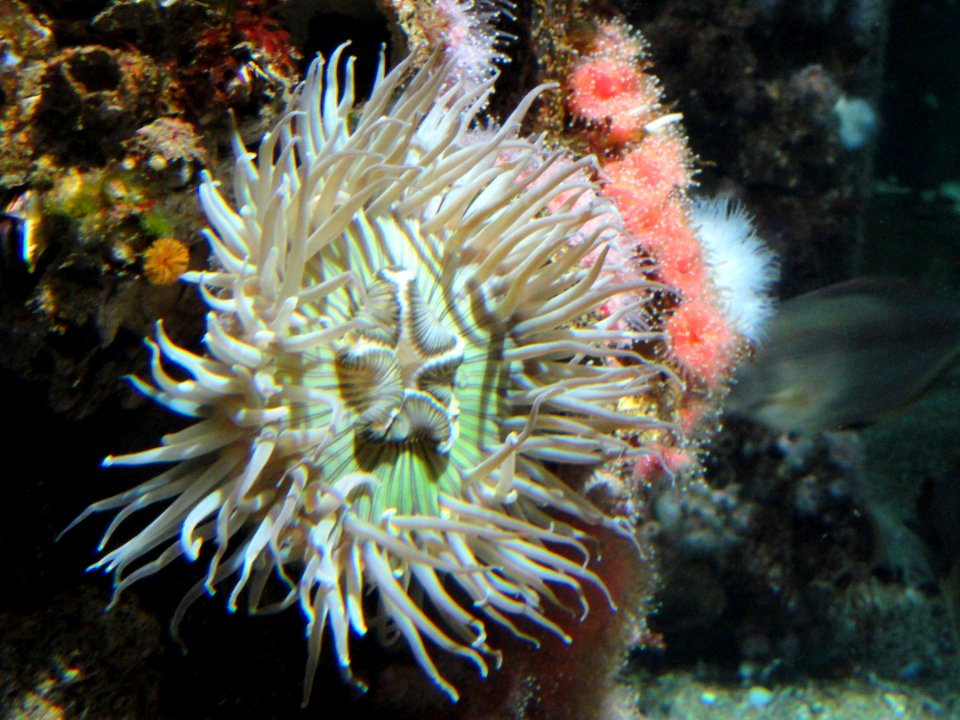 Wharf exhibit - MBA - DSC06964