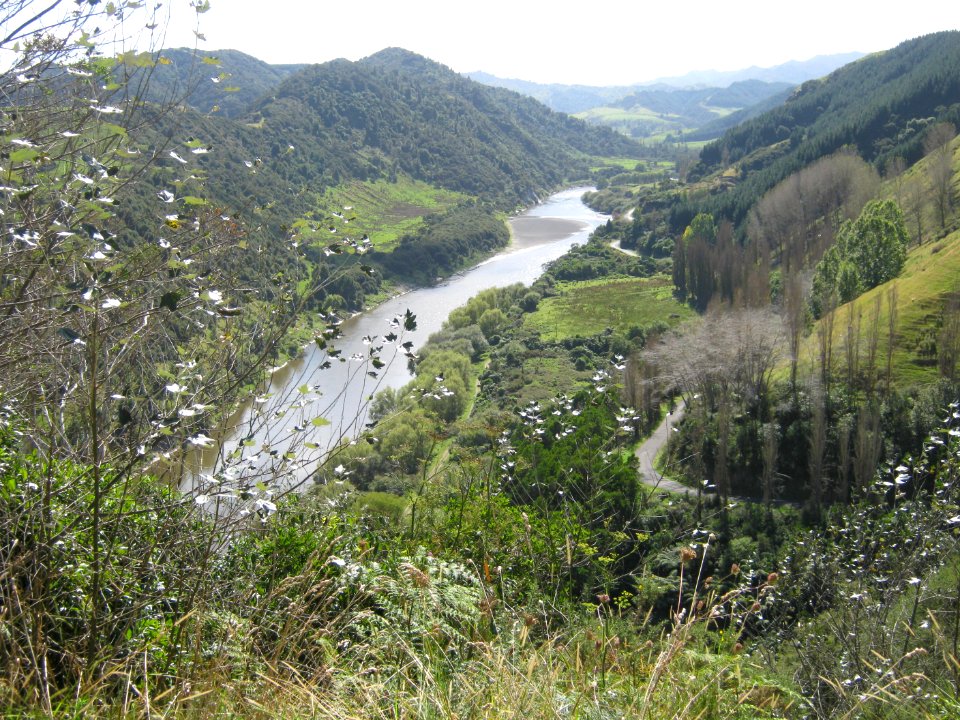 Whanganui-River-03