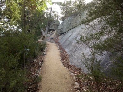 Whalers Lookout track Bicheno 20190725-001