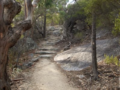 Whalers Lookout track Bicheno 20190725-002