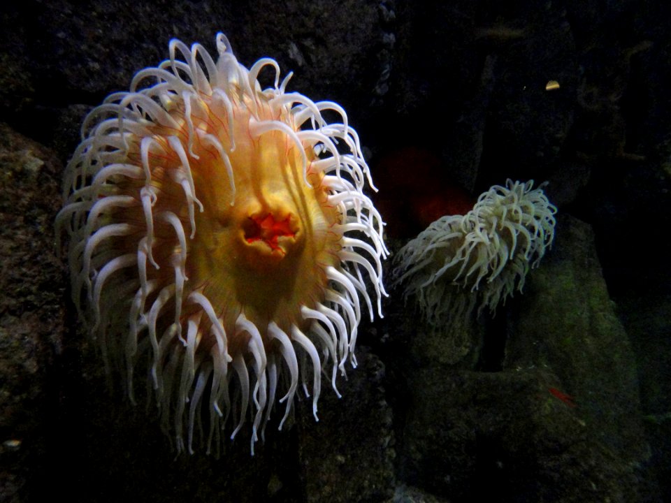 Wharf exhibit - MBA - DSC06971