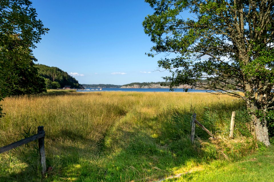 Wetlands in Holma