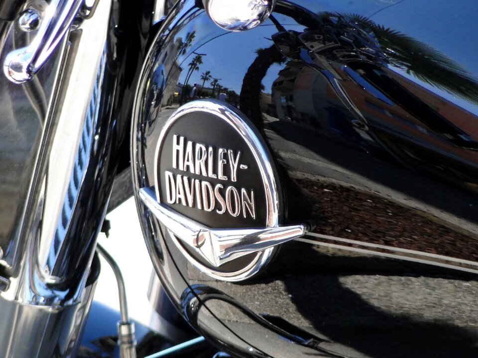 Classic speed harley davidson