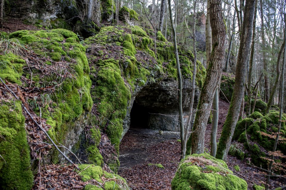 Westliche Brentenfelshöhle (A 189) 02