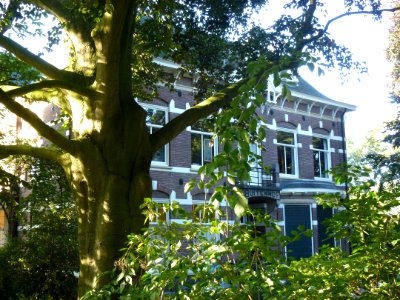 Weurt (Beuningen Gld) Villa Buitenhof Jonkerstraat 1 met boom