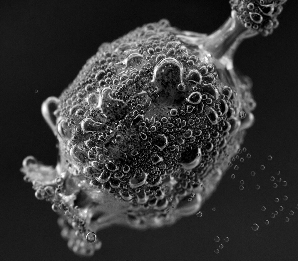 Blow immersed underwater