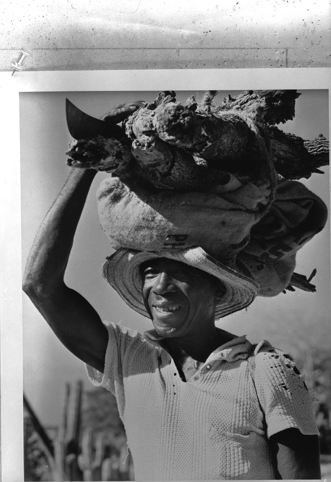 West-Indië, Curaçao, Wespunt. Inwoner draagt lading brandhout, Bestanddeelnr 935-1523