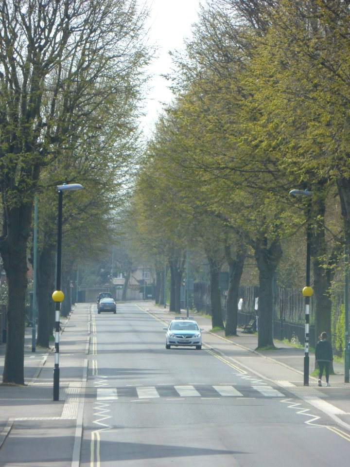 Westward view along Old Shoreham Road (near Montefiore Road), Hove (April 2013) (2)