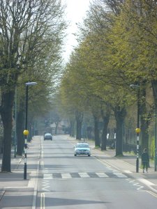 Westward view along Old Shoreham Road (near Montefiore Road), Hove (April 2013) (2)