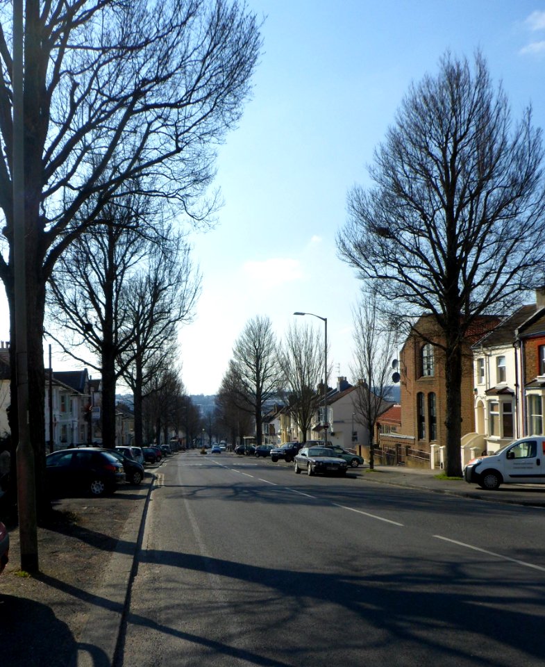 Westward view along Elm Grove, Brighton (April 2013)