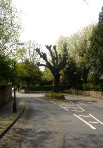Westward view along Manor Road, Portslade (April 2009)