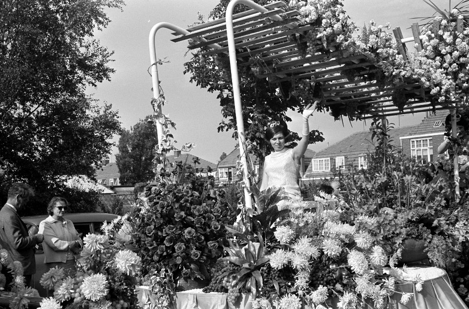 Westland Bloemencorso, Bestanddeelnr 918-1155