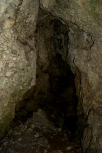 Westliche Buchleitenhöhle (A 181a) 17
