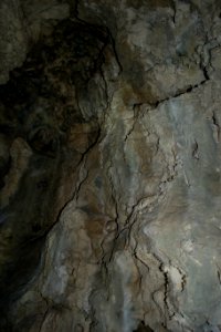 Westliche Buchleitenhöhle (A 181a) 19
