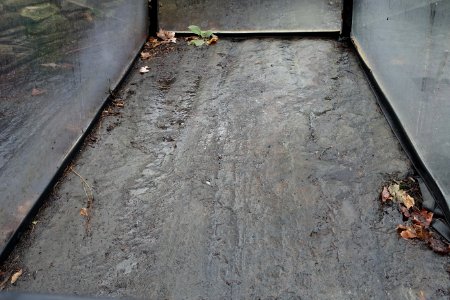 Westford Knight Stone - Westford, Massachusetts - DSC09061