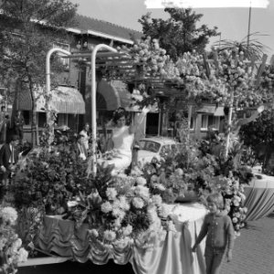 Westland Bloemencorso, Bestanddeelnr 918-1154