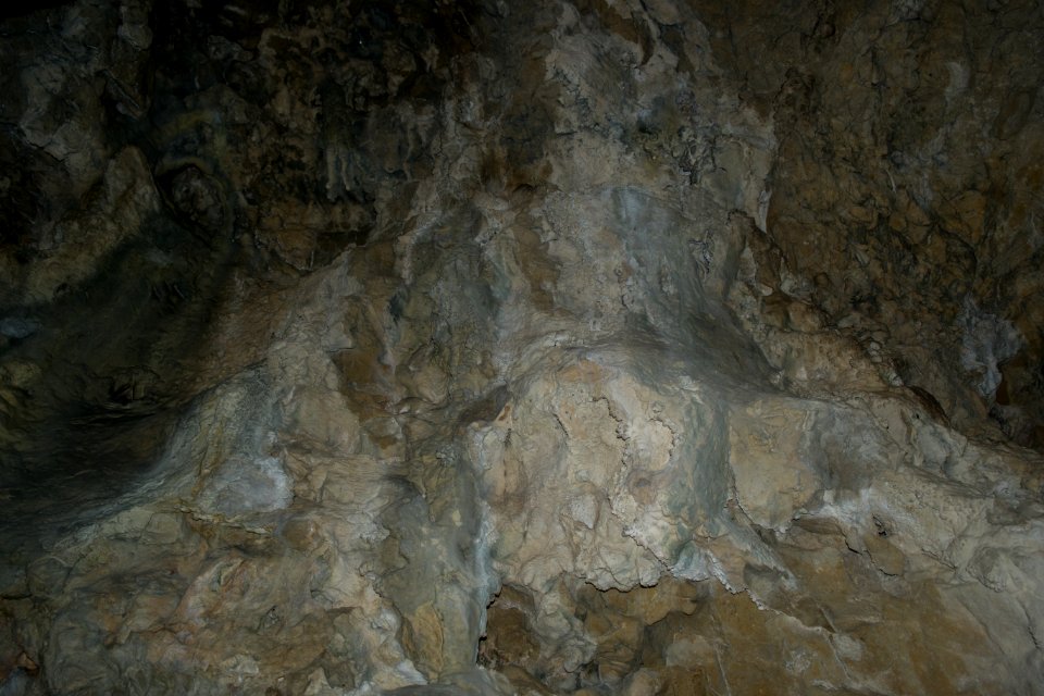 Westliche Buchleitenhöhle (A 181a) 10