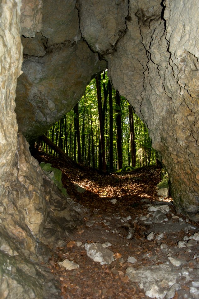 Westliche Buchleitenhöhle (A 181a) 15