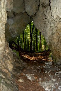 Westliche Buchleitenhöhle (A 181a) 15