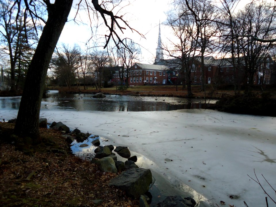 Westfield New Jersey Mindowaskin park with buildings and trees and frozen lake