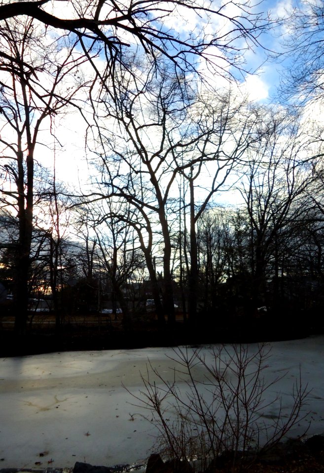Westfield New Jersey view of frozen lake in park with sky and trees