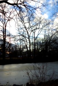 Westfield New Jersey view of frozen lake in park with sky and trees photo