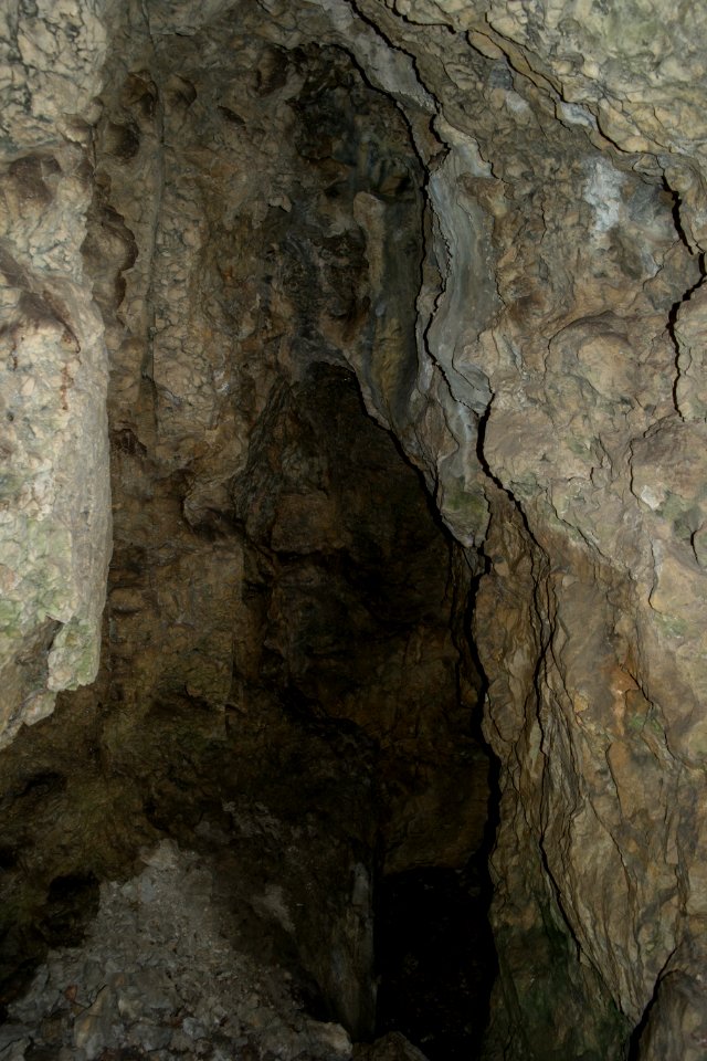 Westliche Buchleitenhöhle (A 181a) 07