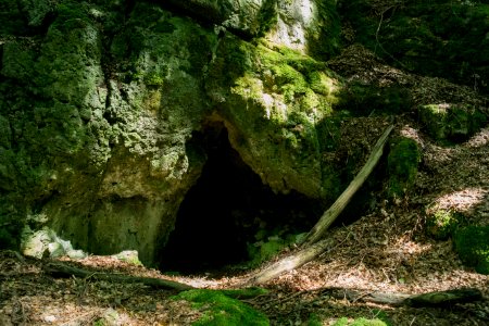 Westliche Buchleitenhöhle (A 181a) 01
