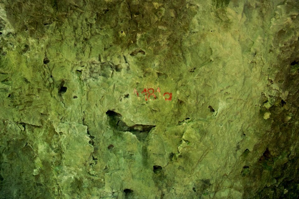 Westliche Buchleitenhöhle (A 181a) 05