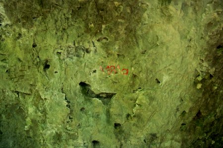 Westliche Buchleitenhöhle (A 181a) 05