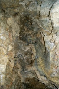 Westliche Buchleitenhöhle (A 181a) 11